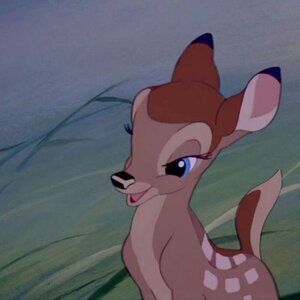 Meet your Posher, Agnes